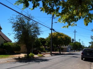 Street with Powerlines 